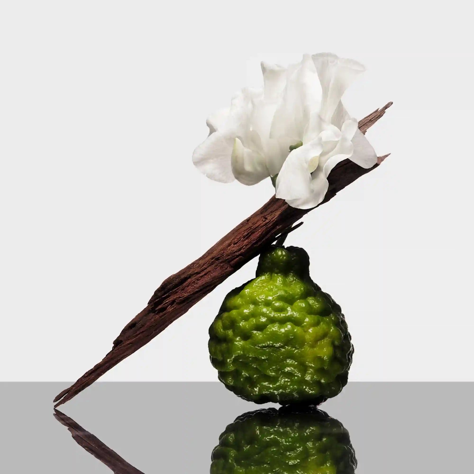 oribeuscart.it.com