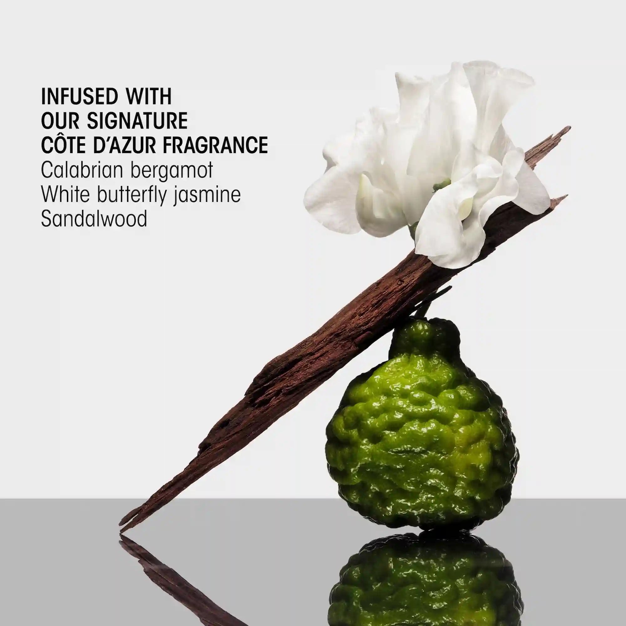 oribeuscart.it.com
